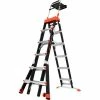 Little Giant Fiberglass SelectStep Step Ladder, 6-10' Type 1AA - 15131-001 -Ladders Sales Store 15131 001 ladder 01