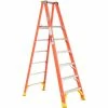 Werner 6' Fiberglass Platform Step Ladder 300 lb. Cap - P6206
