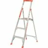 Little Giant® Flip-N-Lite Aluminum Platform Step Ladder - 5' - 15273-001