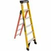 Werner Fiberglass Leansafe X3 Dual Purpose Leaning Ladder - LDP7306 -Ladders Sales Store LDP7306 01