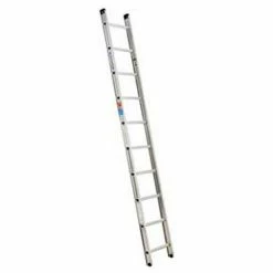 Werner 10' Type 1A Aluminum D-Rung Straight Ladder D1510-1