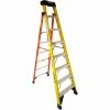 Werner 8' Fiberglass Leansafe Ladder w/ Plastic Tool Tray, 375 lb. Capacity - L7308 -Ladders Sales Store WER L7308
